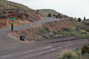 Property Values Plummet