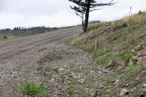 Gravel clogs ditches