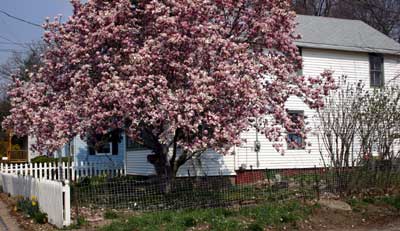 Brockett Family Home
