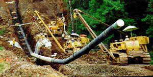 Deep Trenches Protect the Pipeline