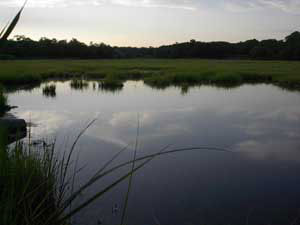 Tidal Pool at Sunset