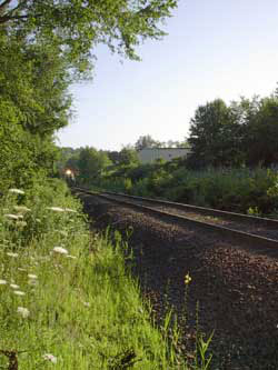Branford Steam Railroad in action