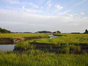 View from the Trolley track right of way