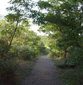 An old right of way is now a nature trail
