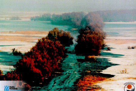 QSL from Radio Romania