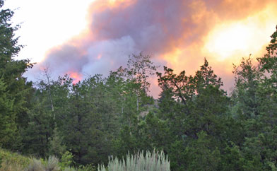 Moving towards the fire