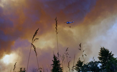 Sagittarious Junction