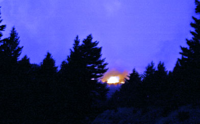 Fire in a dark forest