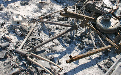 Grandis Bicycle Remains