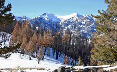 Gallatin Mountain Range