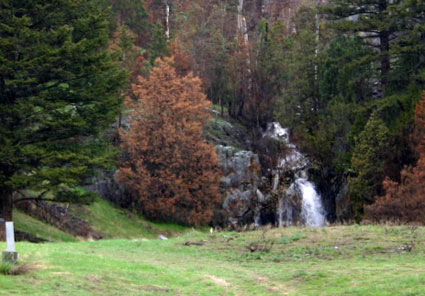 Golemeyer Creek Waterfall