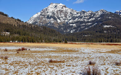 Lamar Valley Landscape