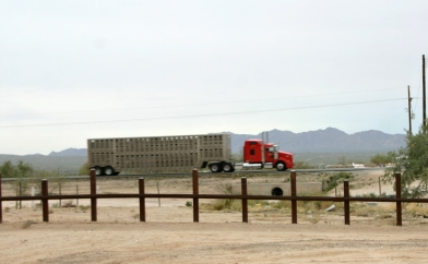 Mexico Hwy 2