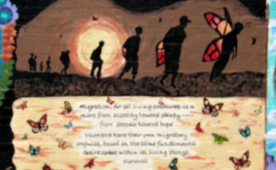 Illegals as butterflies