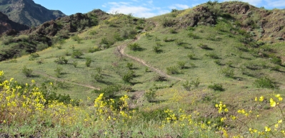River Island State Park