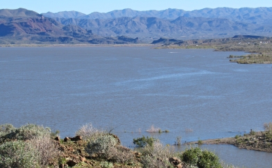 Alamo Lake Arizona