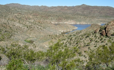 Alamo Lake Inlets