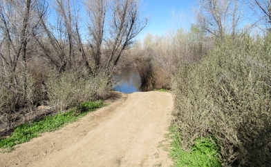 Brown's Crossing Road