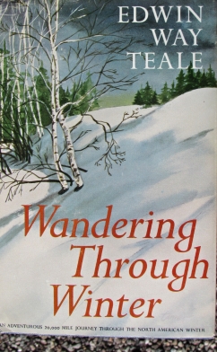 Wandering Through Winter