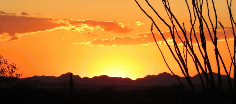 Arizona Sunset at KOFA