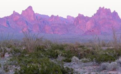 KOFA