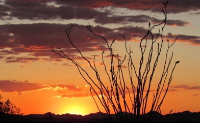 Desert Sunset