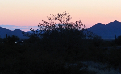 Alamo Lake Trails