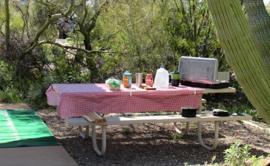 Classic Picnic Table