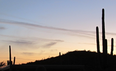 Arizona Sunset