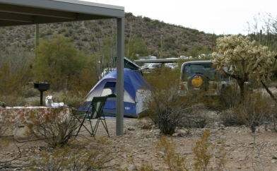 Organ Pipe Tent Camping