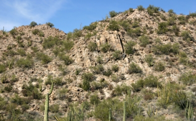 90 degree rock layers