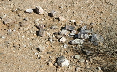 Quartz rocks and gold