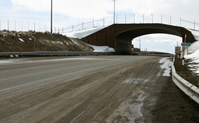 Route 93 Deer Bridge