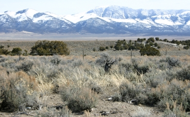 Great Basin Desert