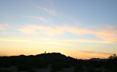 Sonoran Sunset