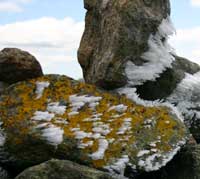 Frost Crystals Grow on Rocks