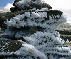 Frost Crystals Grow on Rocks