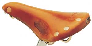 Brooks Team Pro Womens