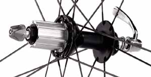 Campy Zonda OS Hub Closeup