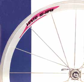 Campy spokes - rear